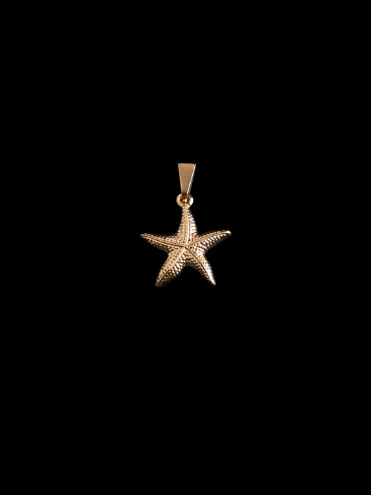 Dije Sea Star en Oro laminado 18k
