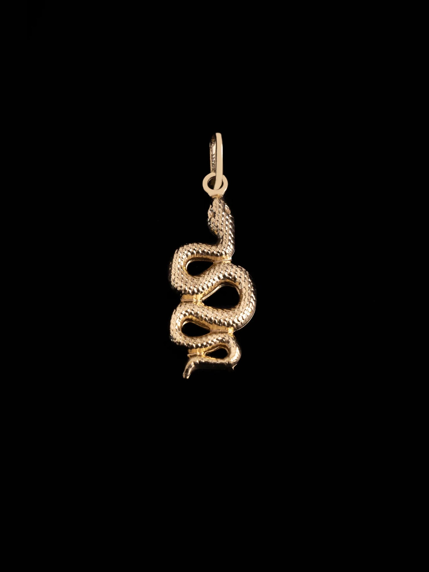 Dije Serpiente en Oro laminado 18k