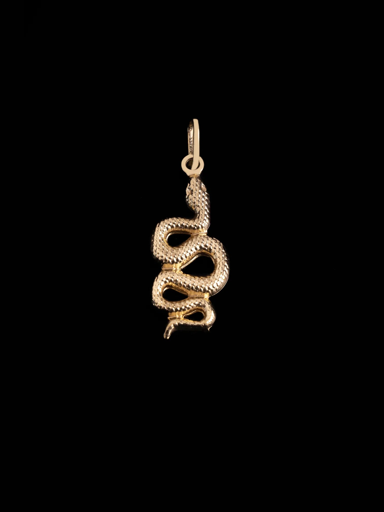 Dije Serpiente en Oro laminado 18k